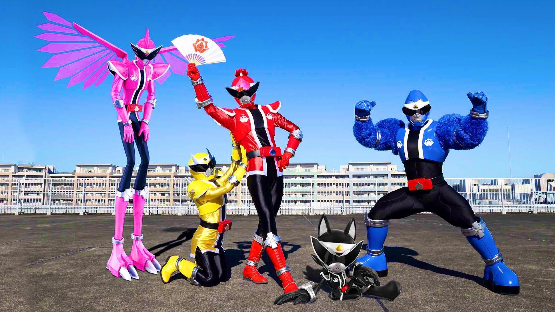 Team for Don Brothers.
